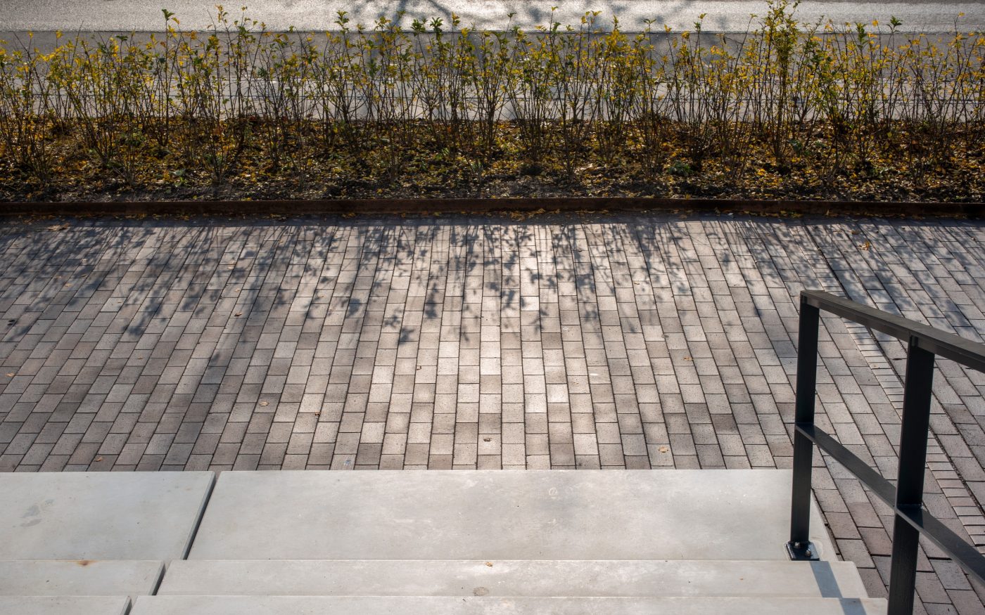 Novo Nordisk, Paver, Bretagne