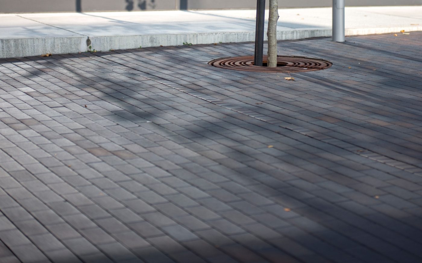 Novo Nordisk, Paver, Bretagne