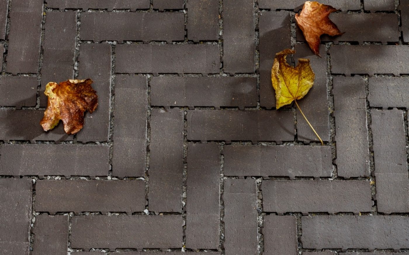 Photo Passaqua Eros pavers