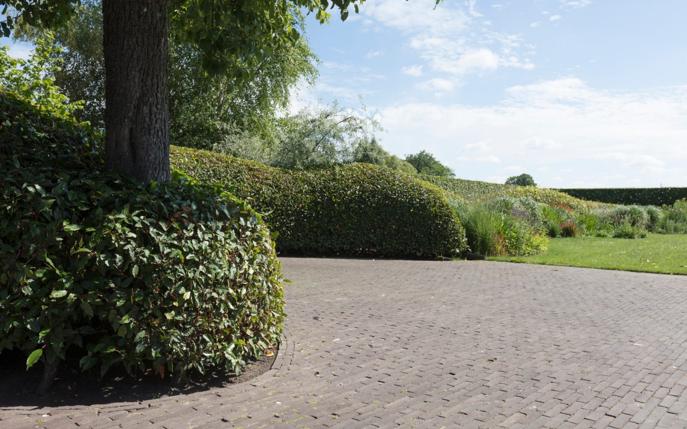 Reference photo private landscaping in Wuustwezel