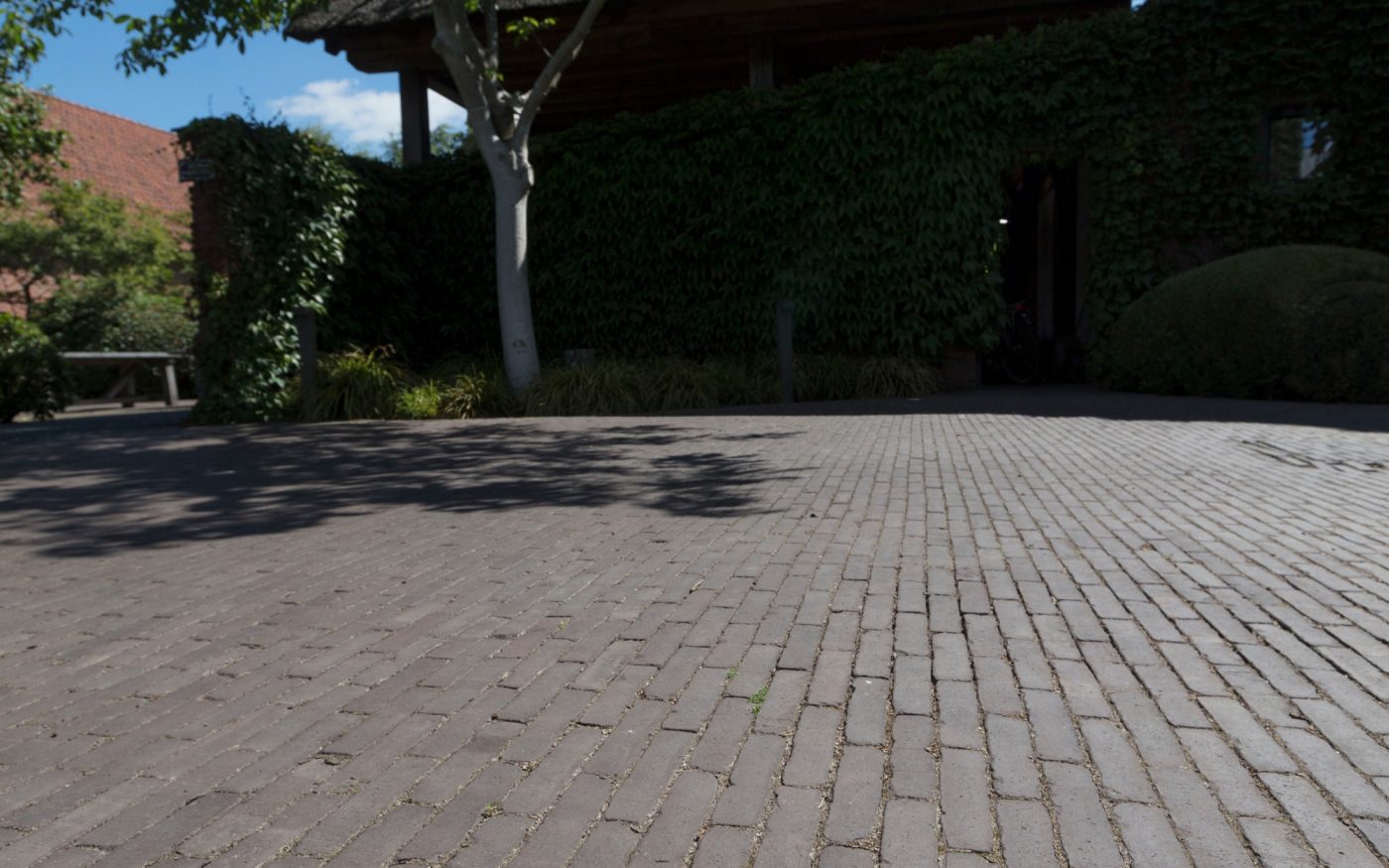 Reference photo private landscaping in Wuustwezel