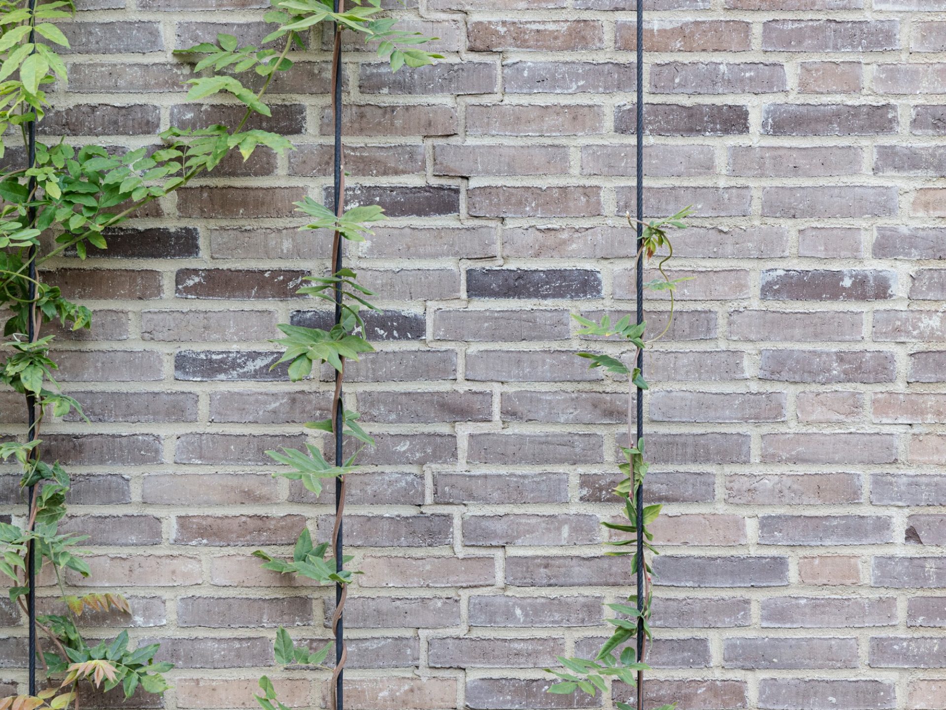 Brick: EW0448 Halm | Toves Gaard, Denmark
