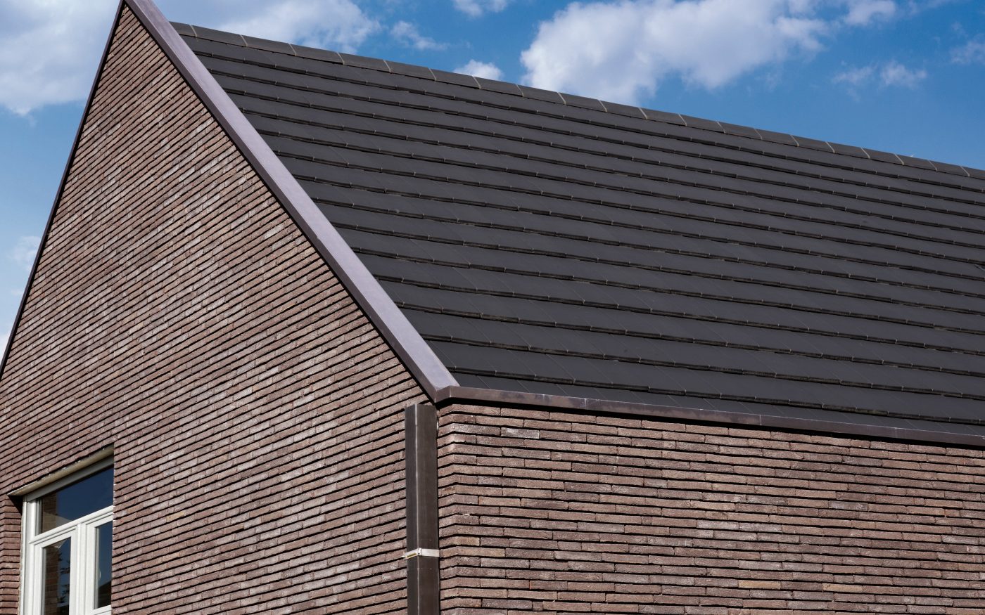 Reference photo new construction single family in Maldegem