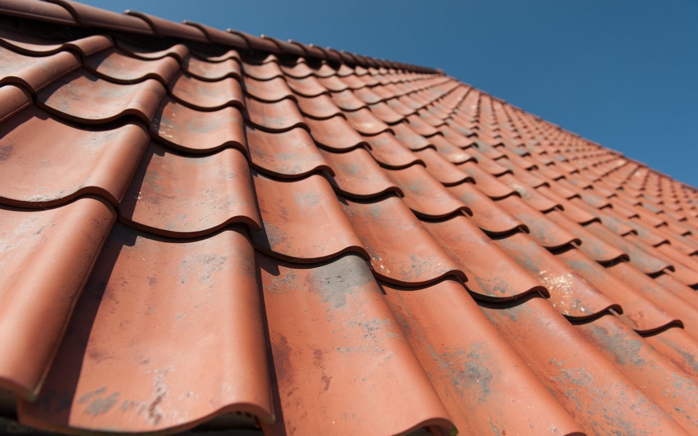 Oude Holle Sinus Vieilli Rood 878 | New Construction Open - Detached House | Breezand