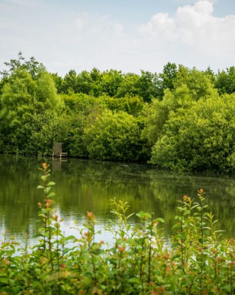 Biologisk mangfold - Stenstrup leiregrav