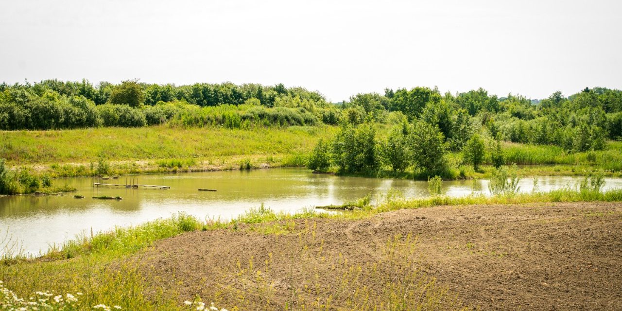 Biologisk mangfold - Stenstrup leiregrav