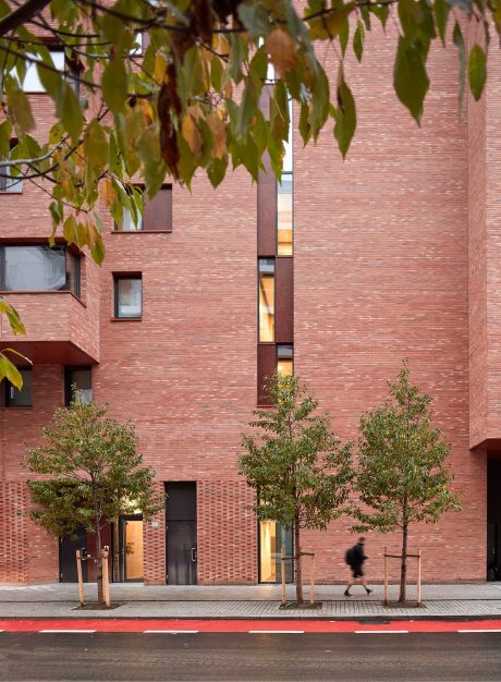 Project Munch Brygge-05, brick Linnaeus Betula Munch