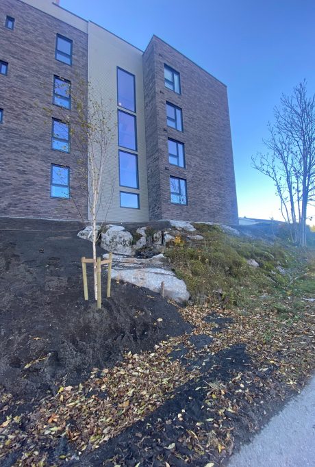 Teglstein: Pagus Grijs Zwart | Durendalveien, Oppegård