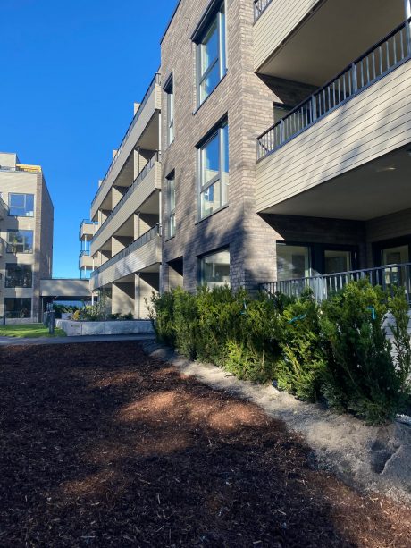 Teglstein: Pagus Grijs Zwart | Durendalveien, Oppegård