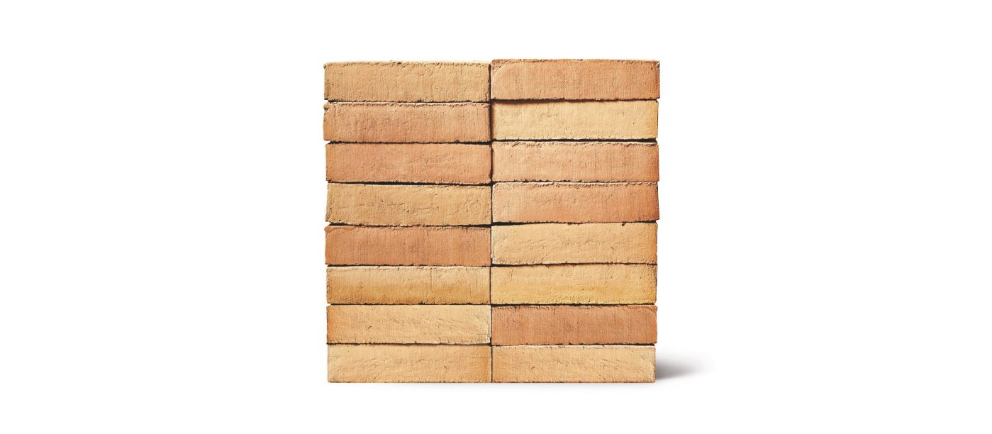 Brick: EW2338 Savanne