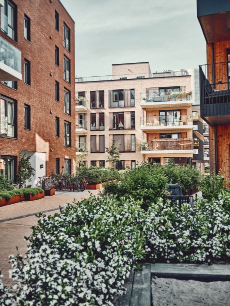 Bricks: Pellava - Iltarusko Retro - Kaakaonruskea Retro - Superwhite Retro - Grafiitinmusta Retro | Wienerberger AS