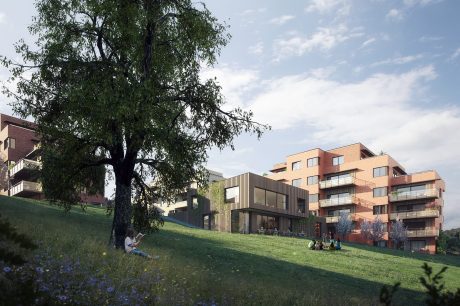 Bricks: Blauwrood genuanceerd - Patrimonia Opus - Bronsgroen - Marziale | Landås Plus, Norway