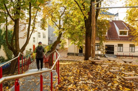 Marktegl: Varia - Siena | Gartnerløkka, Oslo