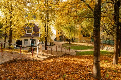 Marktegl: Varia - Siena | Gartnerløkka, Oslo