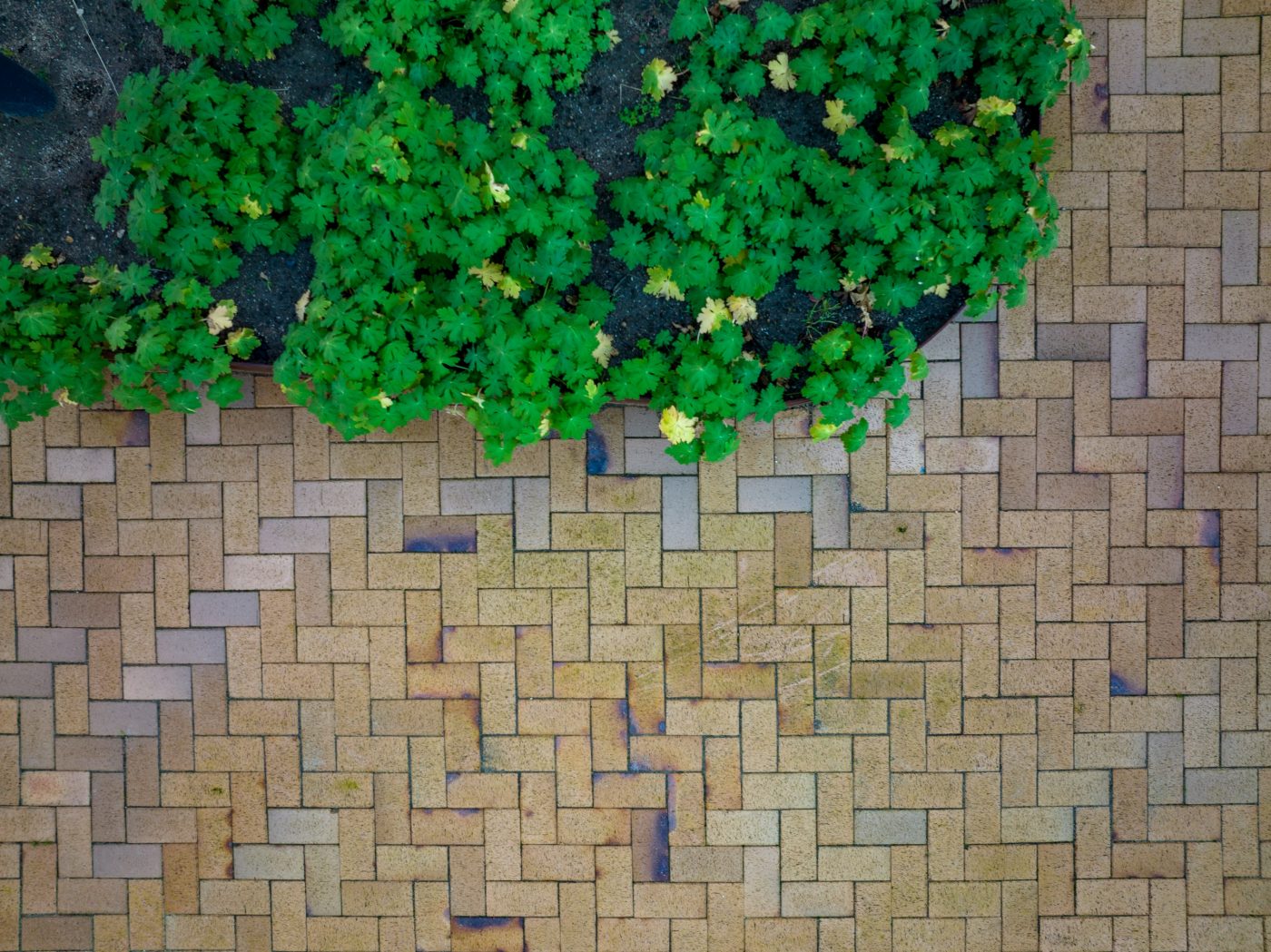 Belegningstegl - Odense med kul - Kongens Karré,  Danmark