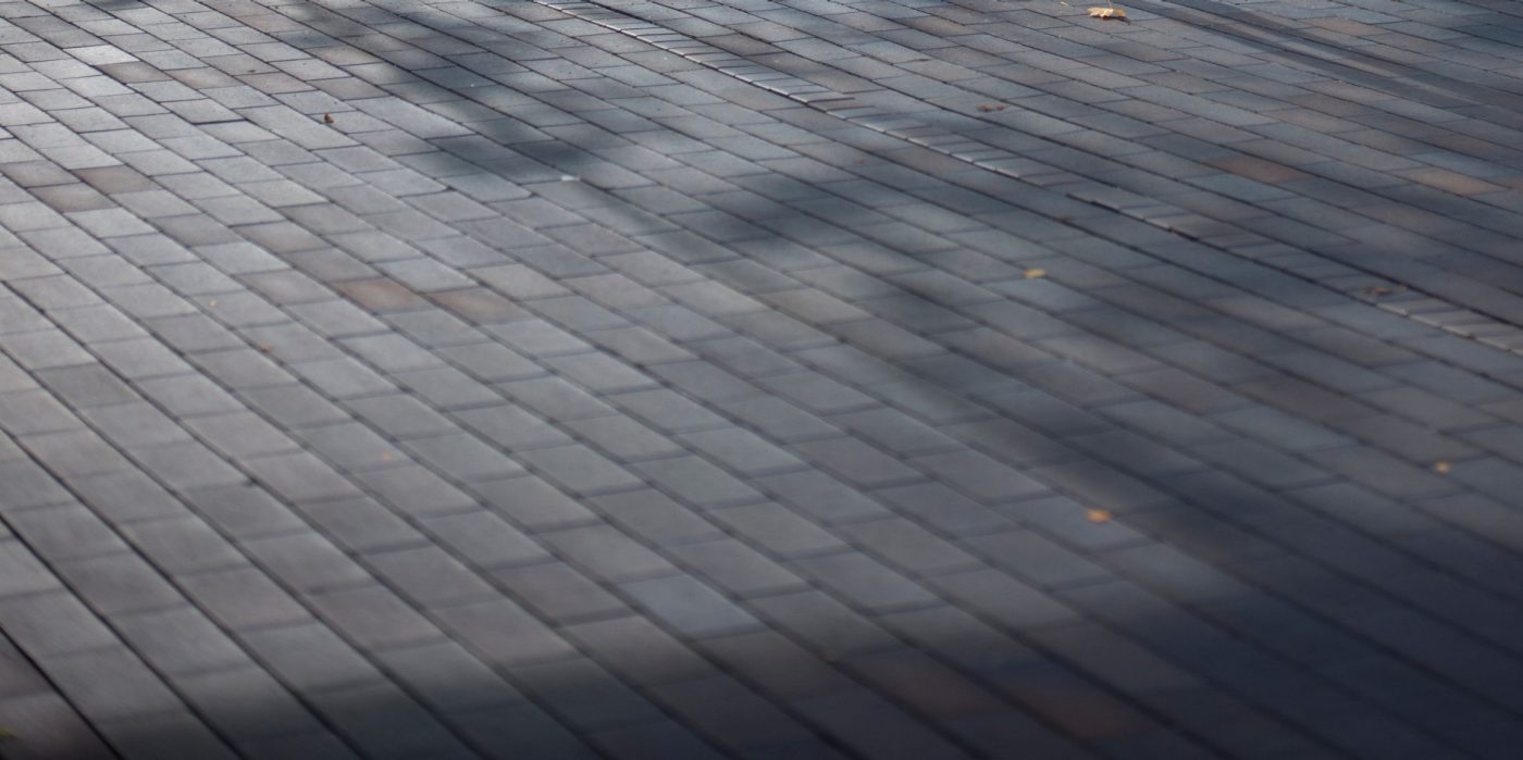 Novo Nordisk, Paver, Bretagne