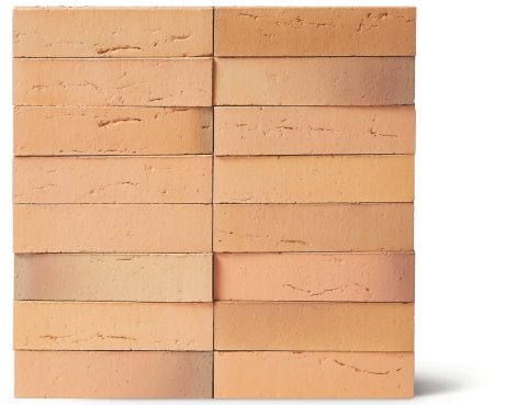 Facade Brick, Linnaeus Betula