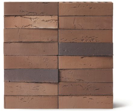 Facade Brick, Linnaeus Quercus