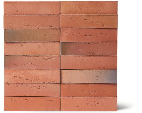 Facade Brick, Linnaeus Robinia