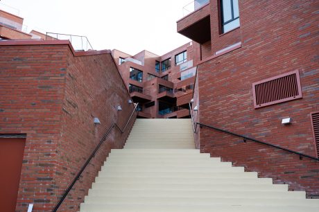 Teglstein: Elignia Robinia (Linnaeus Robinia) | Ankeret, Havneparken i Sandnes