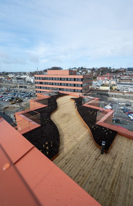 Teglstein: Elignia Robinia (Linnaeus Robinia) | Ankeret, Havneparken i Sandnes
