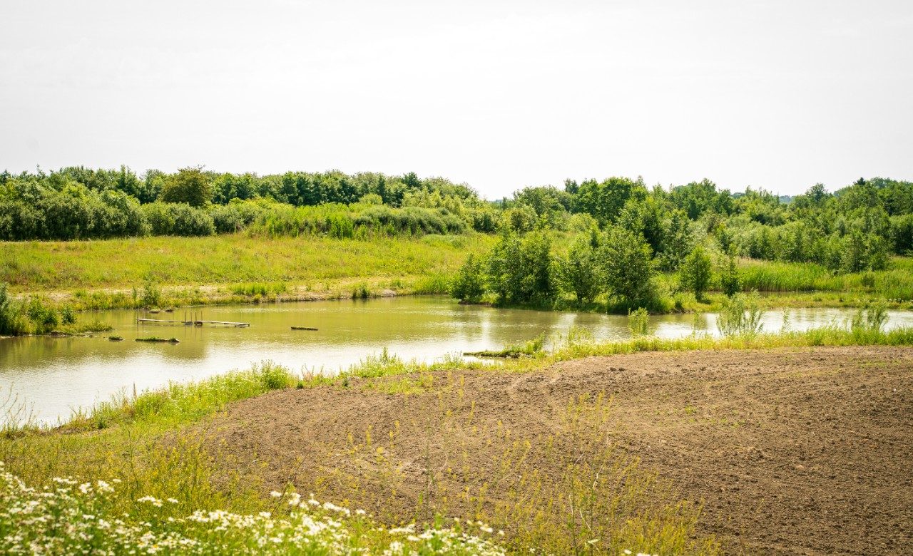 Biologisk mangfold - Stenstrup leiregrav