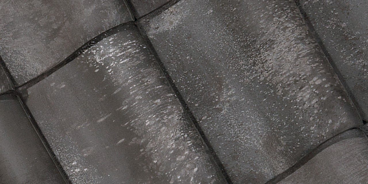 Panel photography of the Oude Pottelbergse Pan 451 Vieilli blauw gesmoord