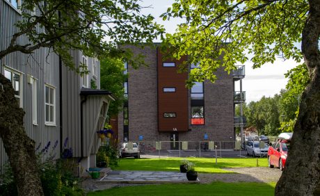 Brick: Pagus Grijs Zwart | Reinsletta Allé, Norway