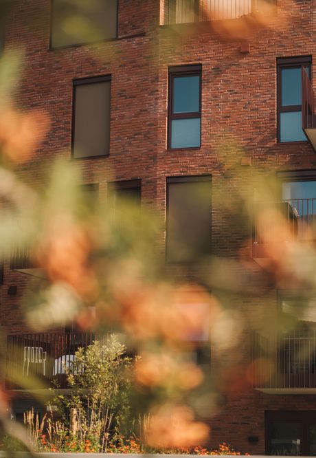 Teglstein: EW2169 Cold Hawaii - EW2216 Pakhustegl | Skolebakken, Kolbotn