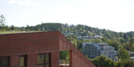 Teglstein: EW2169 Cold Hawaii - EW2216 Pakhustegl | Skolebakken, Kolbotn