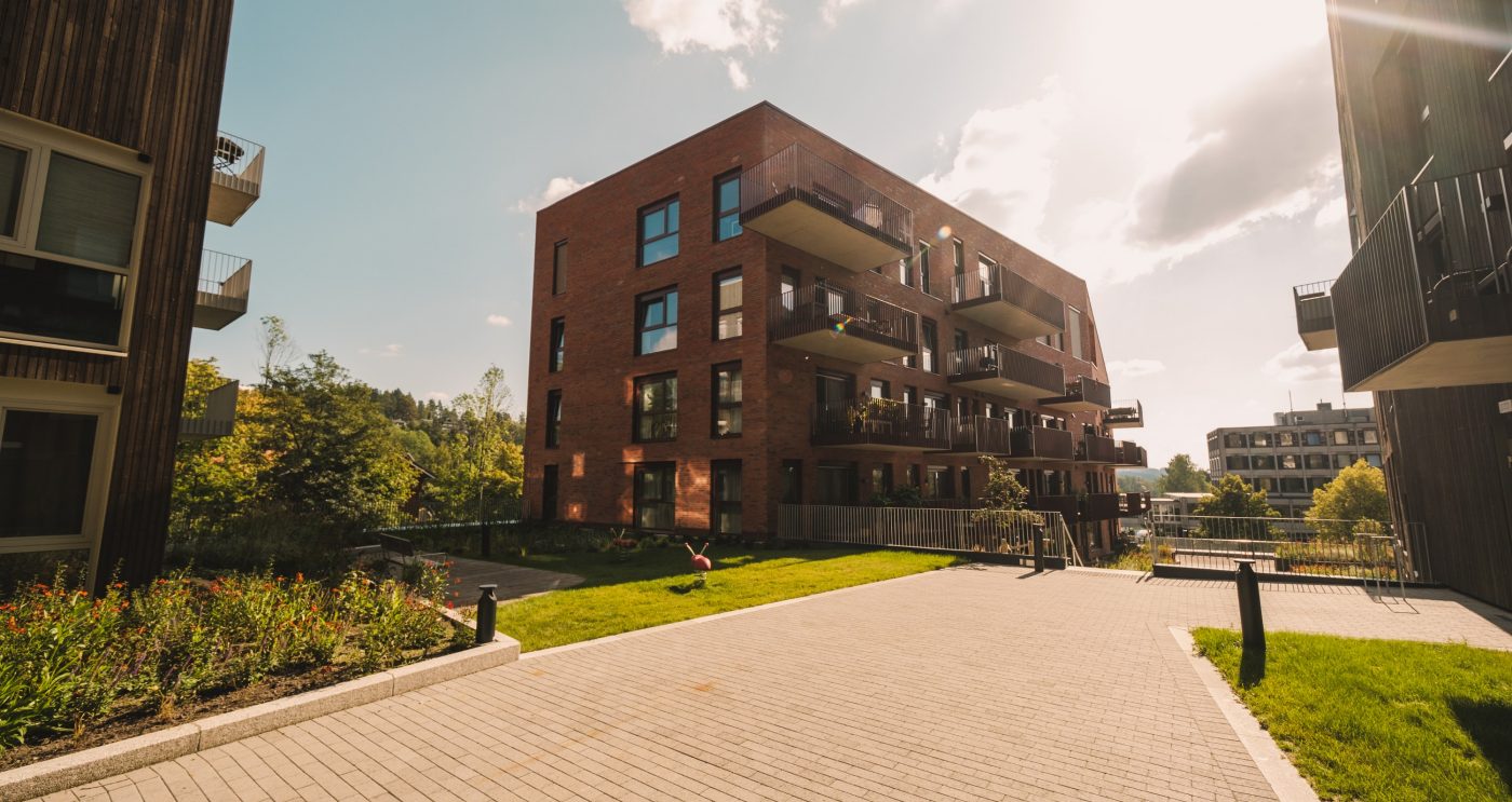 Teglstein: EW2169 Cold Hawaii - EW2216 Pakhustegl | Skolebakken, Kolbotn