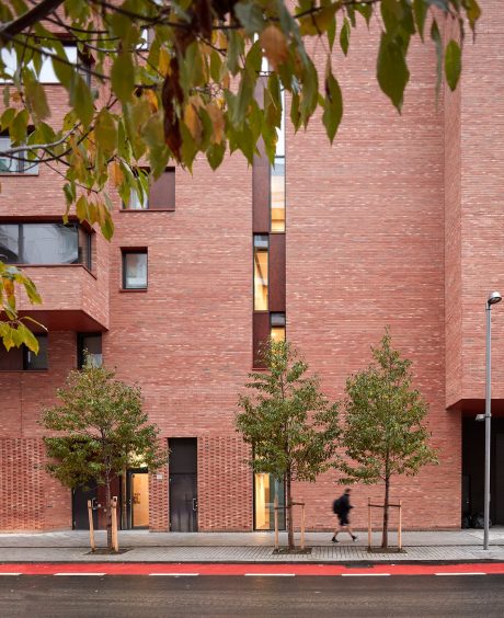 Project Munch Brygge-05, brick Linnaeus Betula Munch