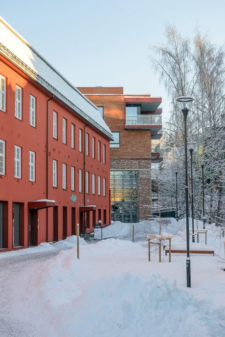 Teglstein: Bronsgroen - Elignia Betula Pendula | Mesnakvartalet, Lillehammer