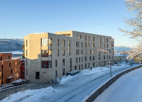 Teglstein: Bronsgroen - Elignia Betula Pendula | Mesnakvartalet, Lillehammer