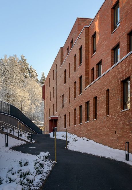 Teglstein: Bronsgroen - Elignia Betula Pendula | Mesnakvartalet, Lillehammer