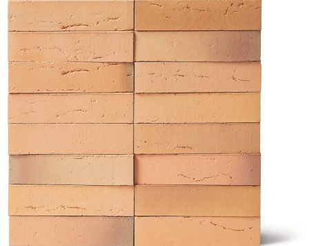 Facade Brick, Linnaeus Betula