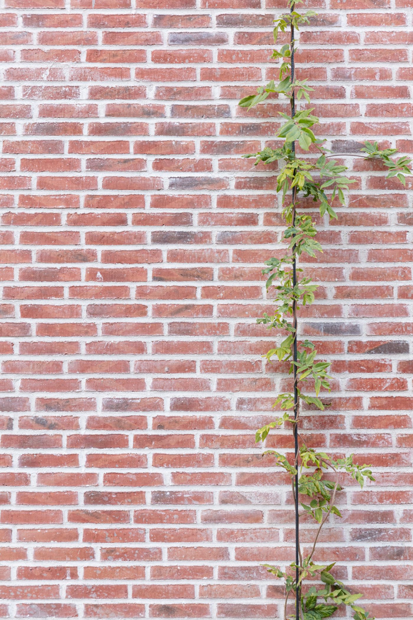 Brick: EW0448 Halm | Toves Gaard, Denmark