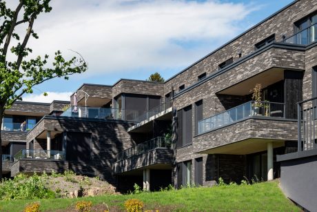 Brick: Linneaus Grafiet Zwart | Veritas Have, Norway