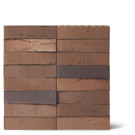 Facade Brick, Linnaeus Quercus