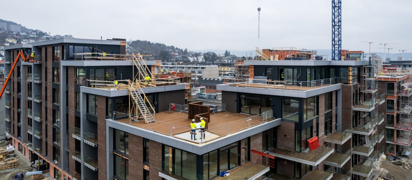 Teglstein: Linnaeus Quercus - Linnaeus Grafiet Zwart | Svanegangen, Drammen