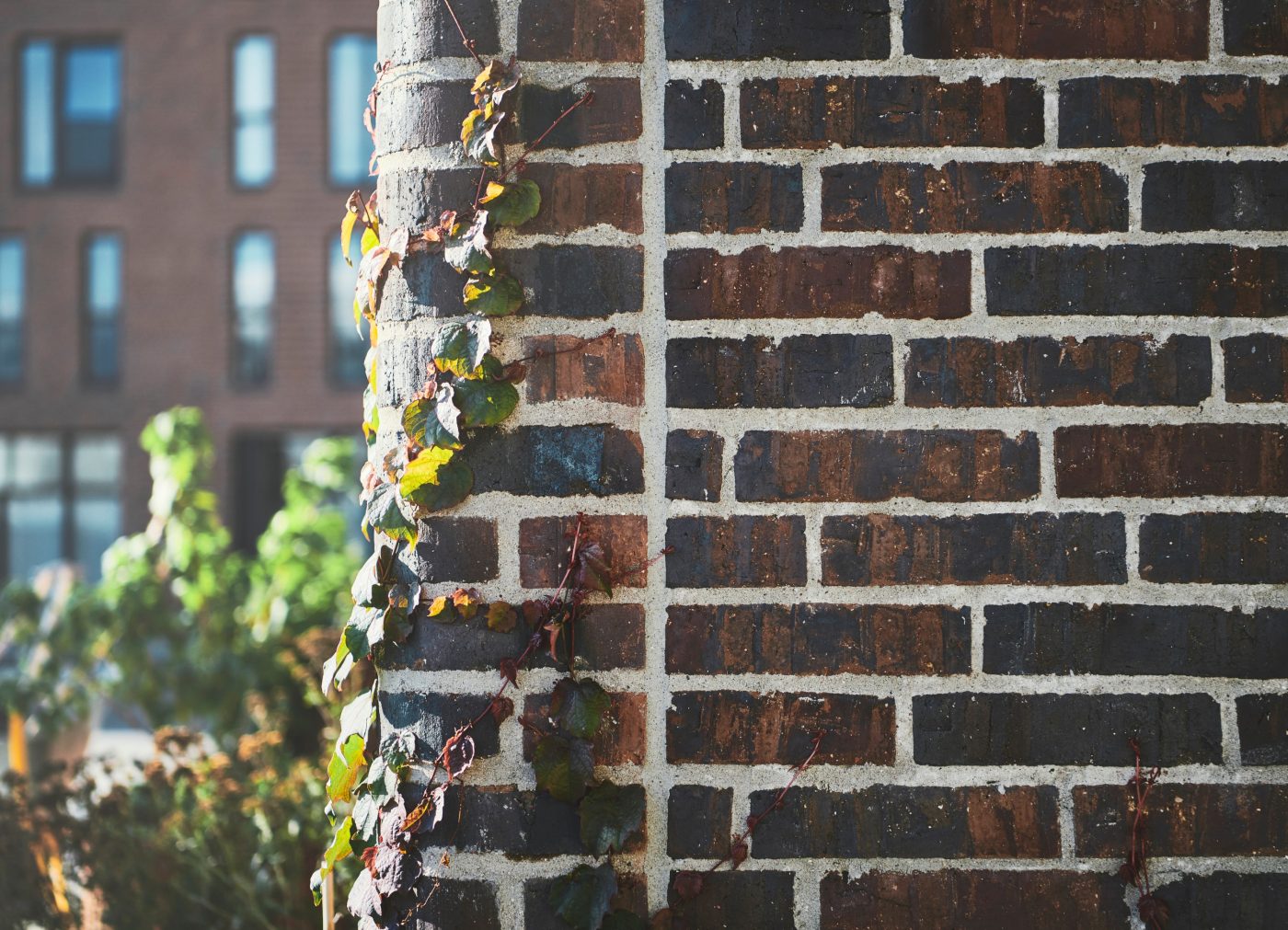 Teglstein: EW2445 Persa | Rhododendron Hus, Danmark