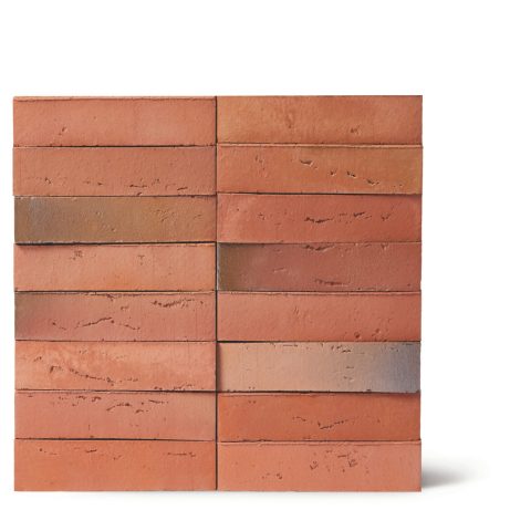 Facade Brick, Linnaeus Robinia