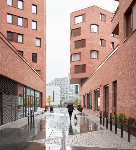 Project Munch Brygge - 06, brick Linnaeus Betula Munch