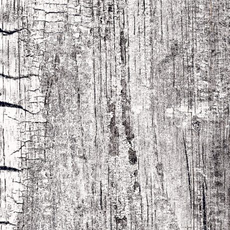 Produktbild: Carbone, Productshot: ash grey