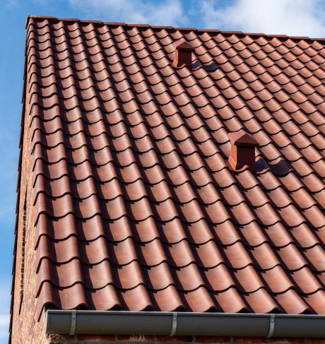 Teglstein - tagstein: EW3255 - Sinus | Agttrup Gårdhuse, Danmark