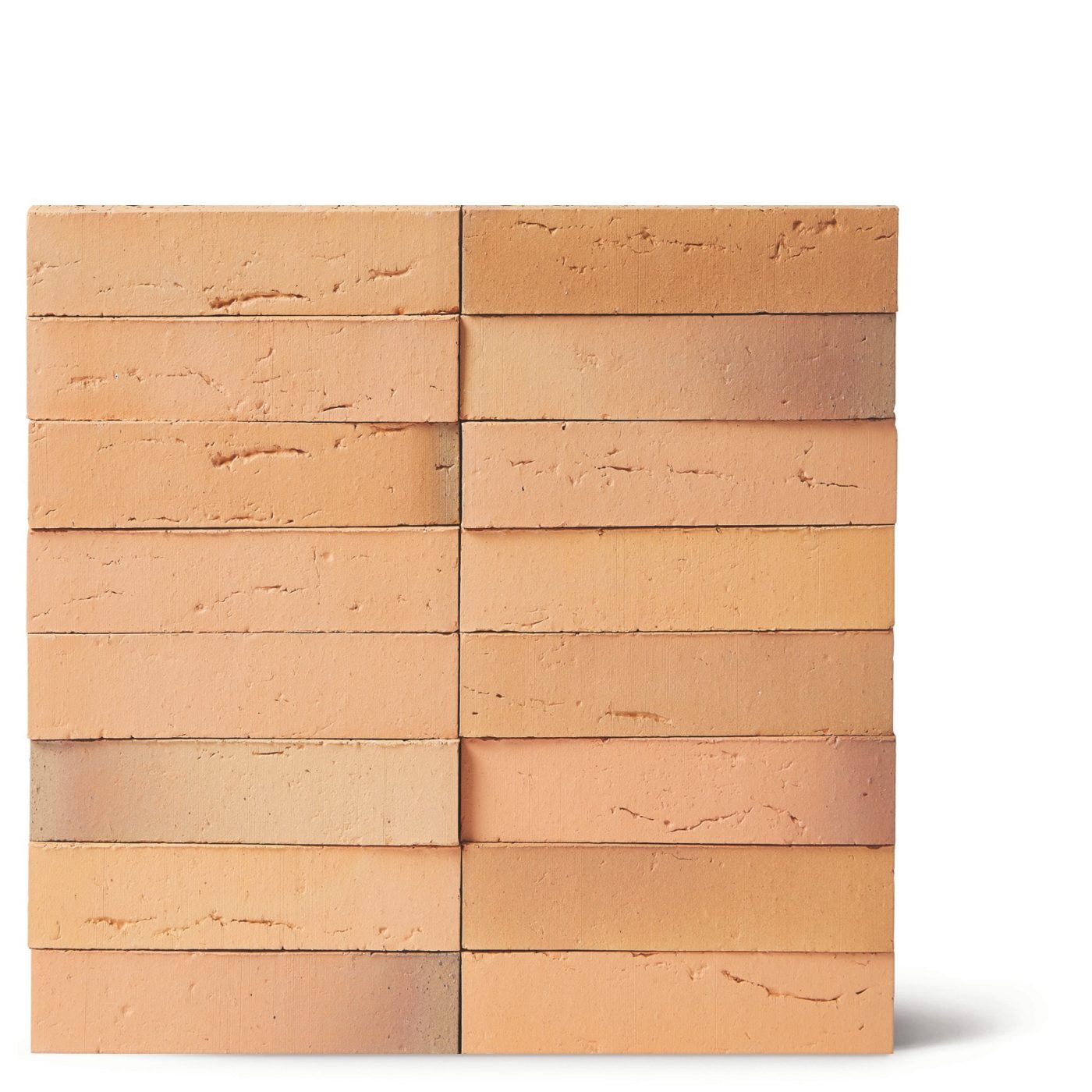 Facade Brick, Linnaeus Betula