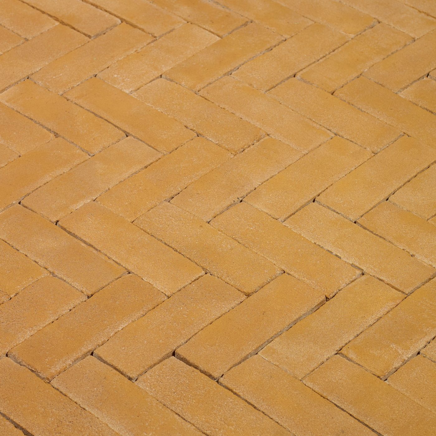 Productshot of the Solane DF Kijfwaard West