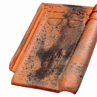 Wienerberger Product Image